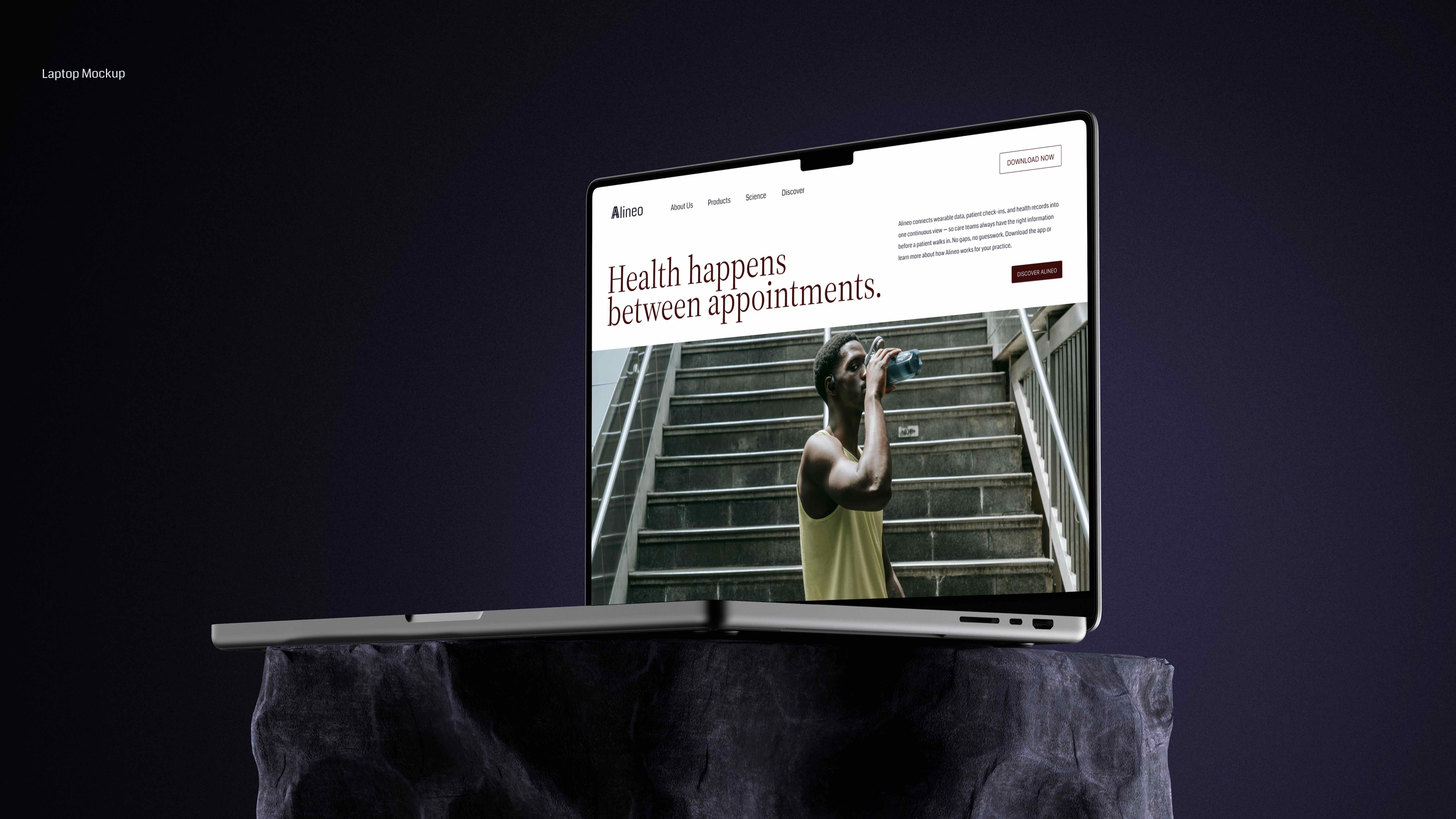 Alineo marketing website on a laptop